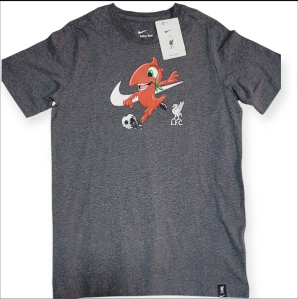 Nike Kids Camiseta Liverpool FC Gris – Talla L